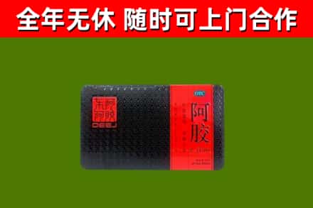 云岩区回收阿胶